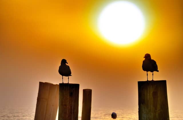 Sunrise in Puerto Morelos, Quintana Roo.